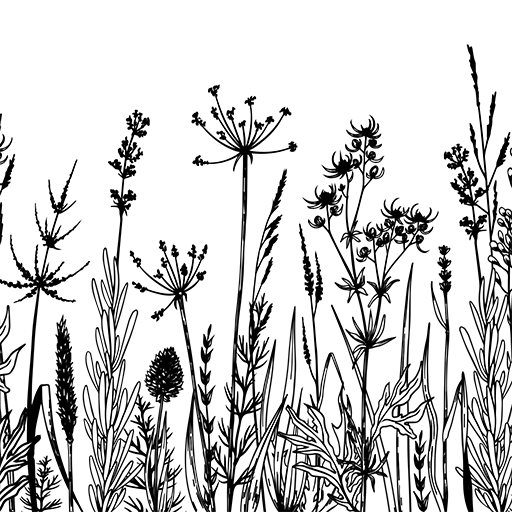 Caking It Up Mesh Cake Stencil – EVERGREEN