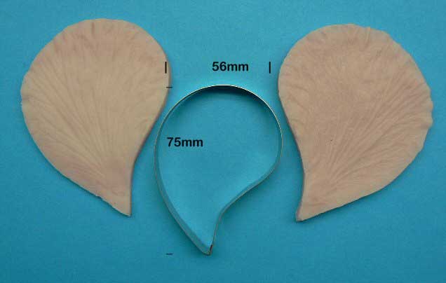 HIBISCUS PETAL CUTTER & VEINER SET (LARGE)