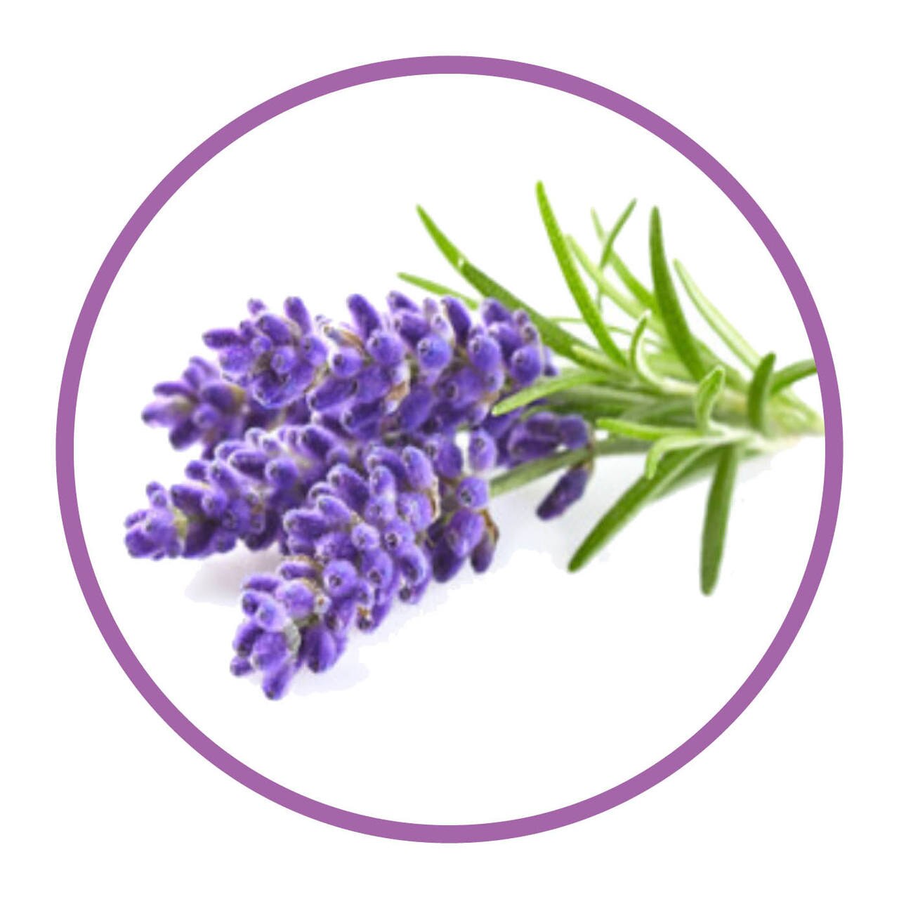 Roberts Confectionery - Natural Lavender Flavour 30ml