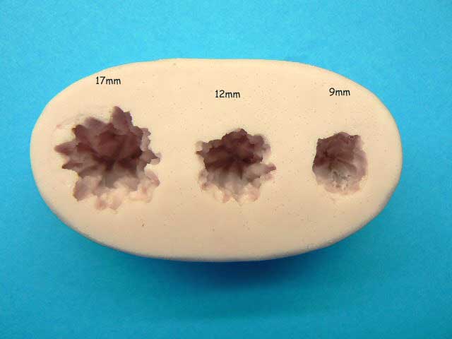 Earl MAGNOLIA BUDS 3 SIZES