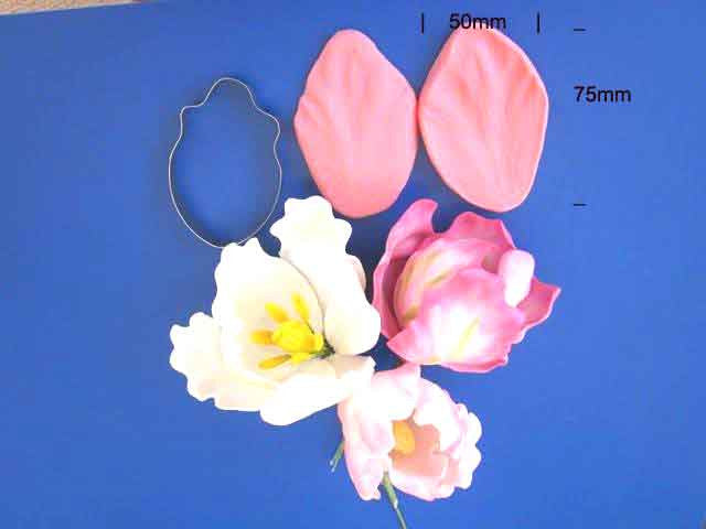 PARROT TULIP CUTTER AND VEINER SET