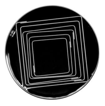 LOYAL S/S CUTTER PLAIN SQUARE