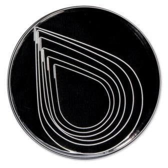 LOYAL S/S CUTTER PLAIN TEARDROP