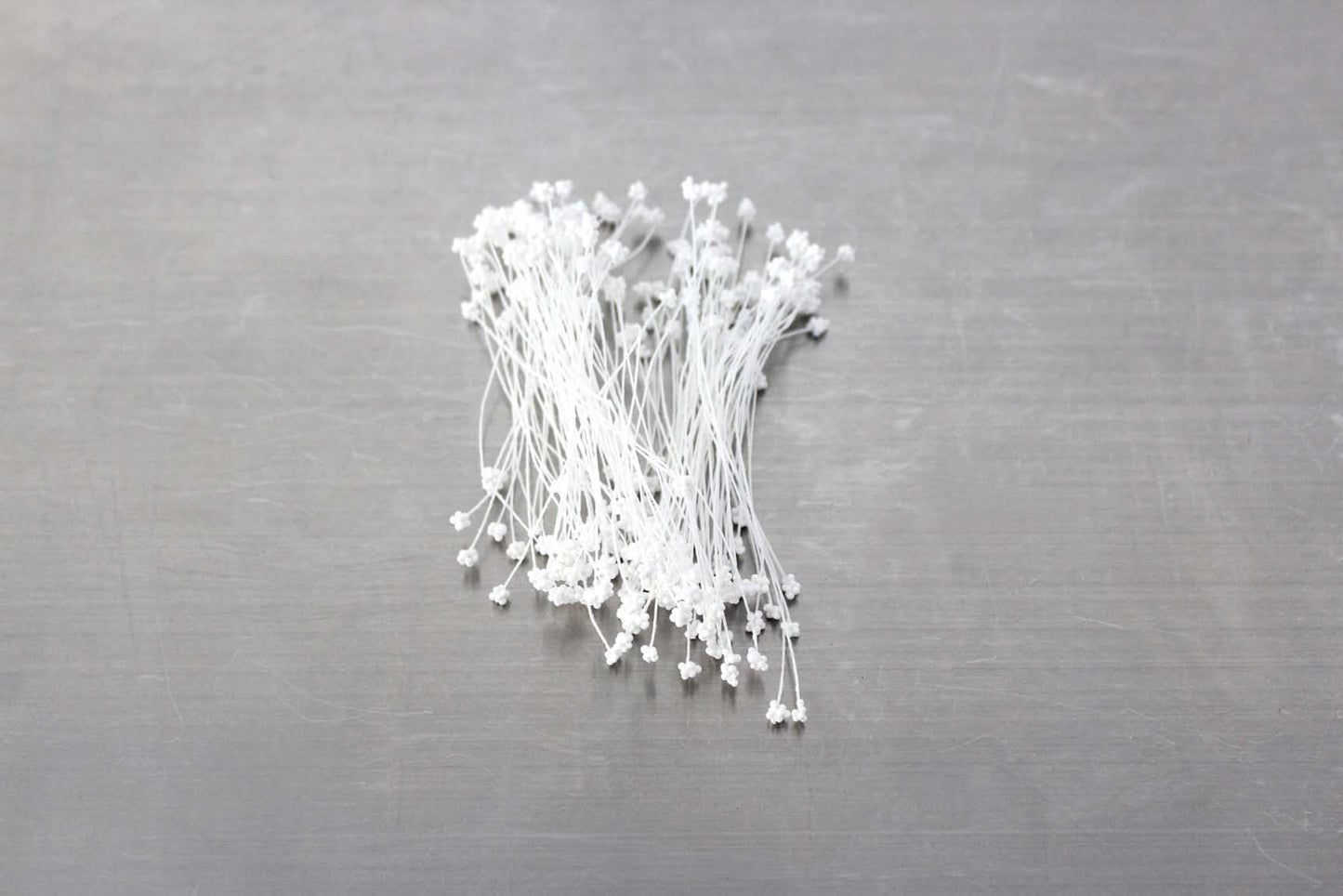 Loyal Stamens GYPSOPHILA WHITE